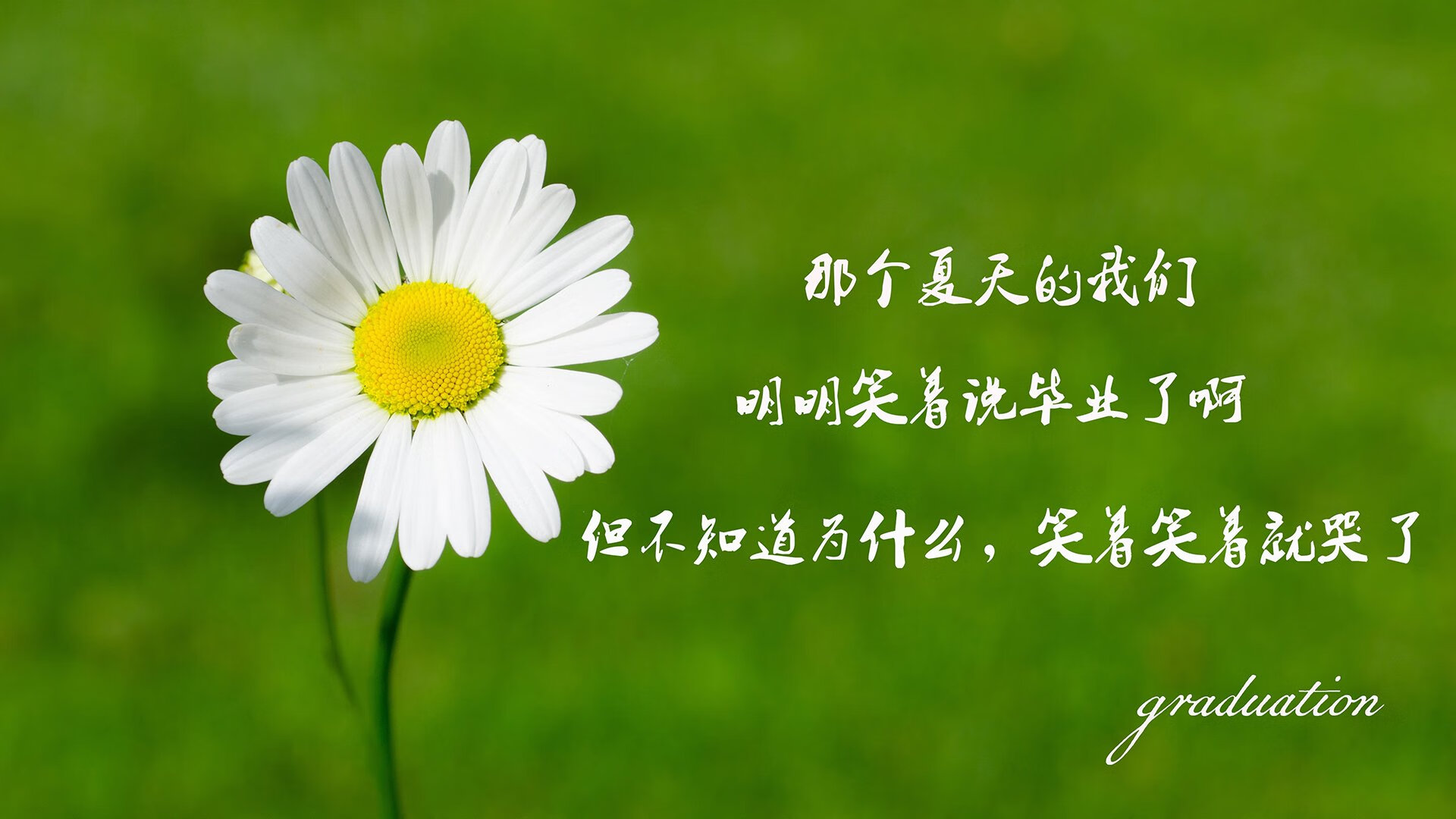 爱游戏体育app-AI引擎赋能：智能测评、战术分析助推专业化发展，ai引擎是干什么的