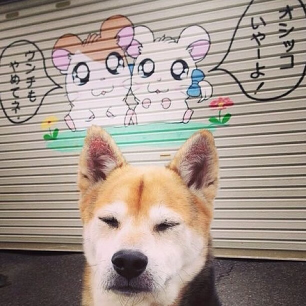 _数字竞技赛场：虚拟运动的无限可能_，数字竞技大赛