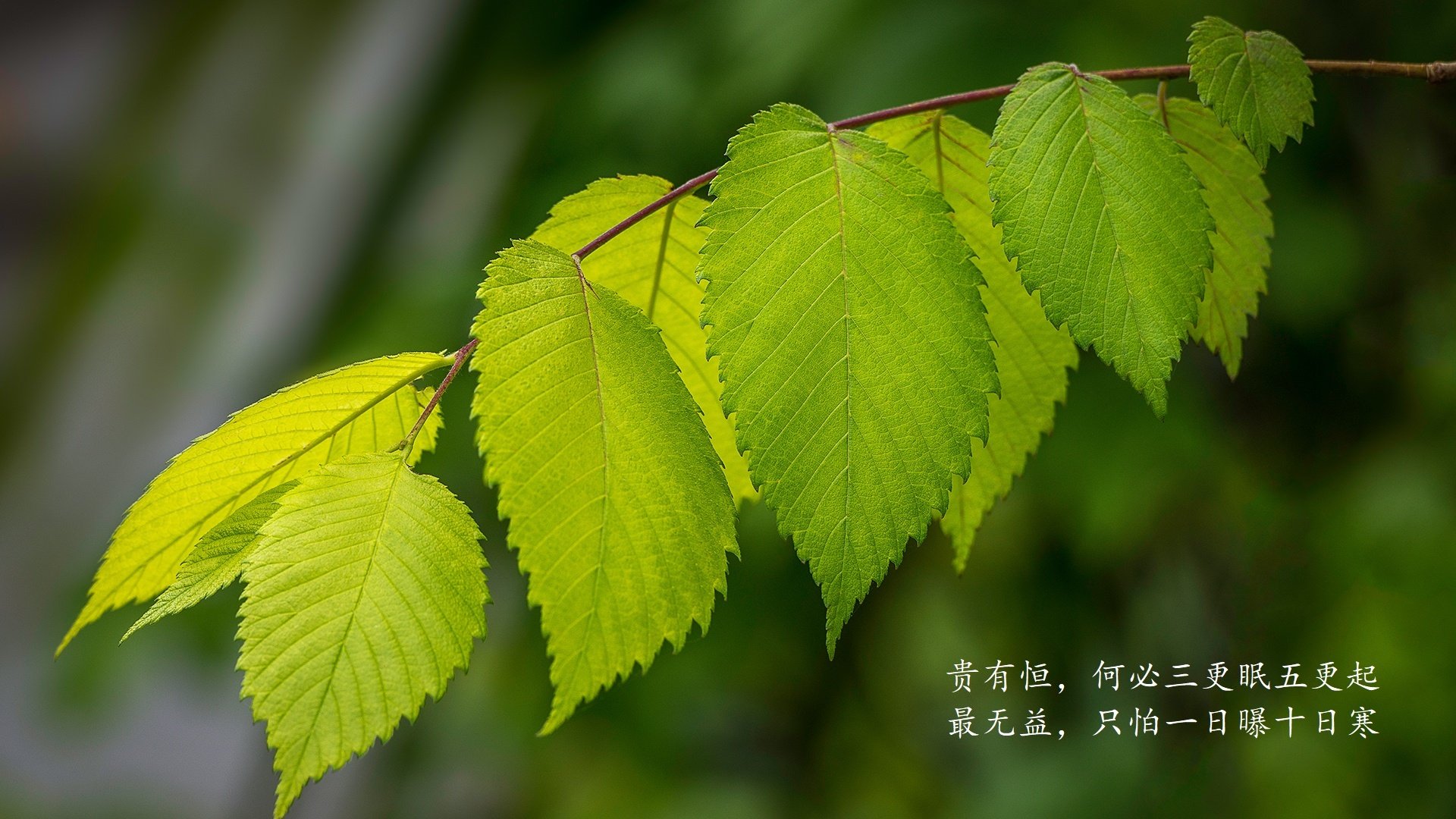 _热点话题：裁判判决引发广泛讨论_，裁判的判决