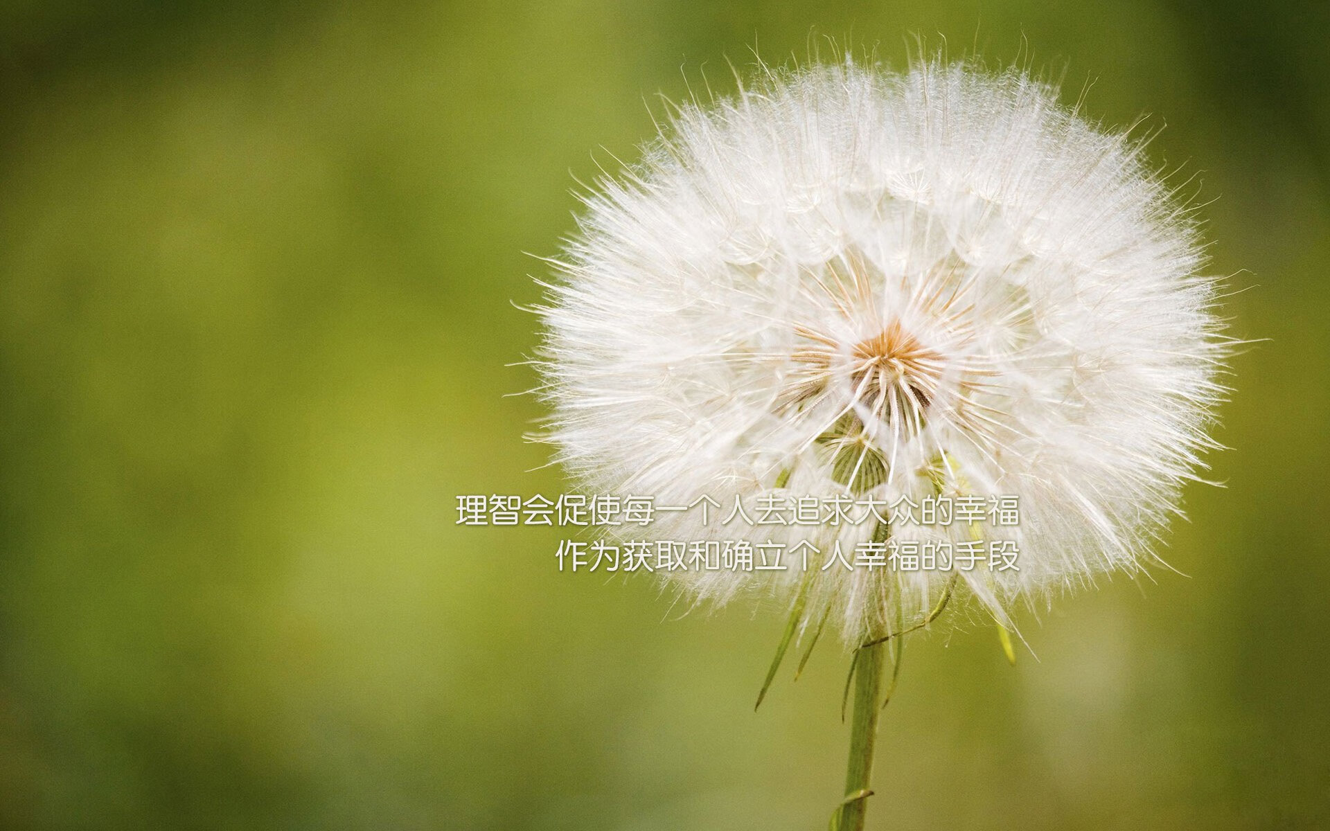 _迷你马拉松：让儿童也能体验跑步的快乐_，迷你马拉松多大小孩可以参加