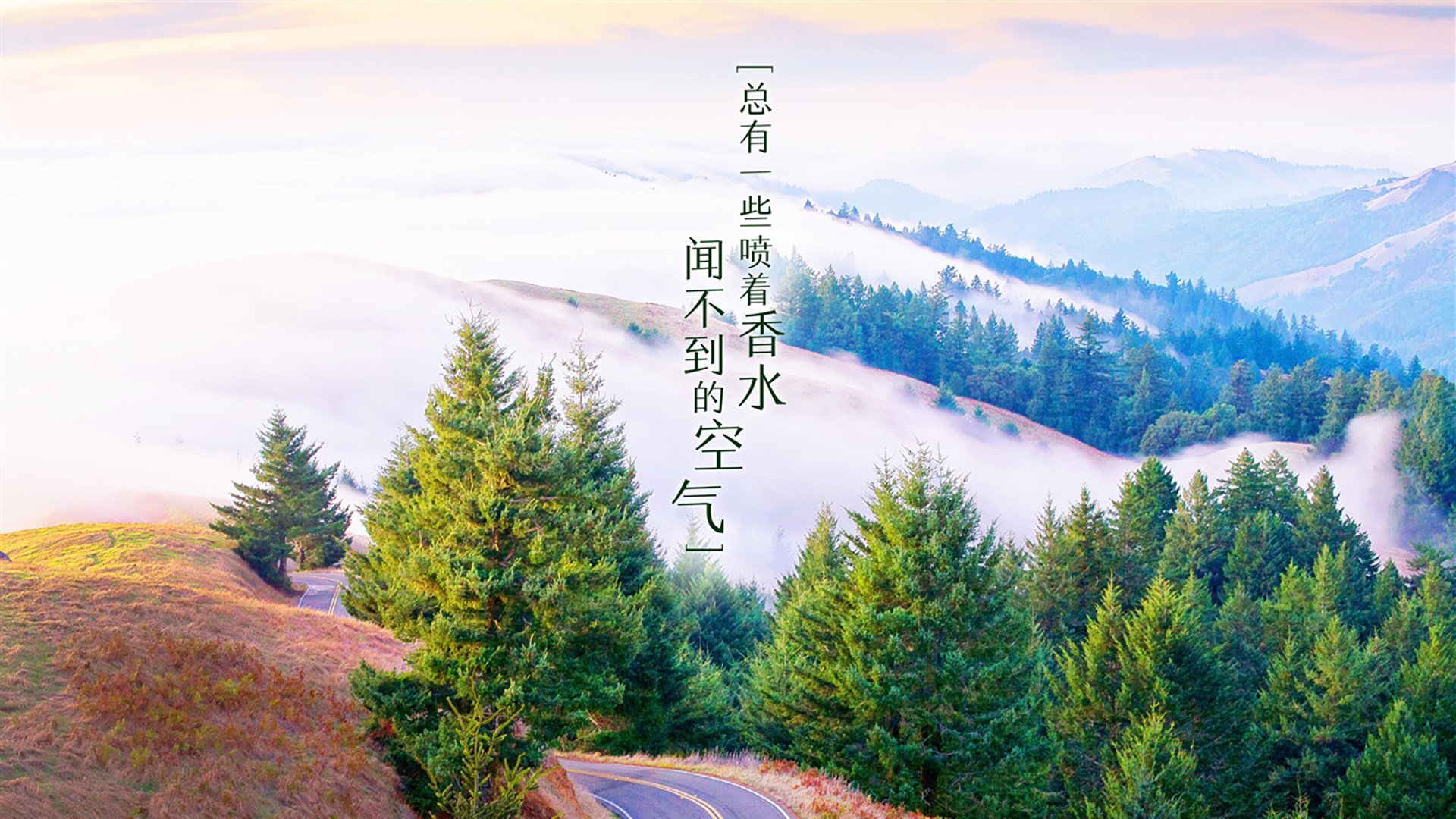 “青春无限”青年篮球文化节在浙江台州盛大举行，青年篮球比赛