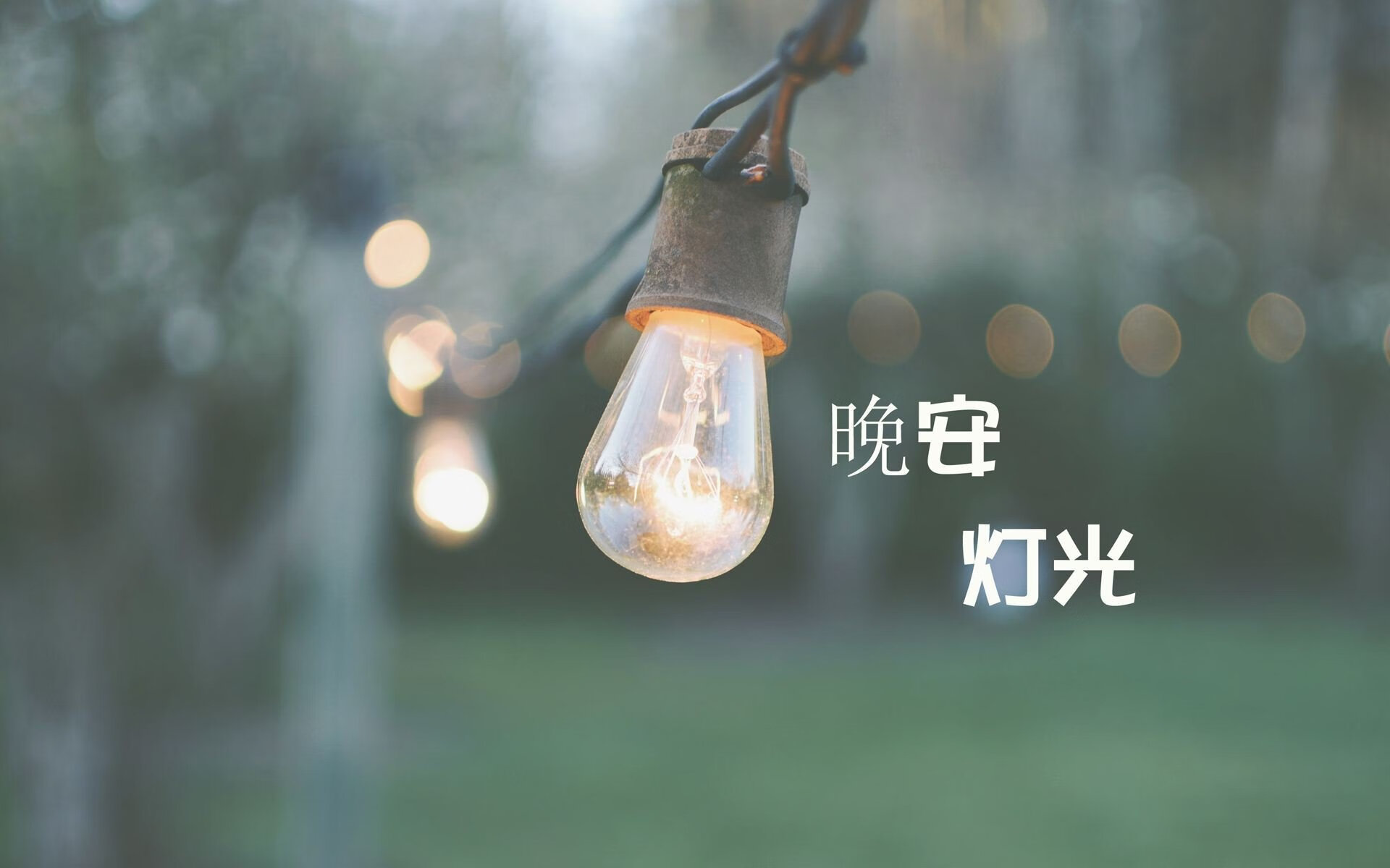 “青少年运动员接受专业体能训练，提升整体素质”，青少年体育运动员
