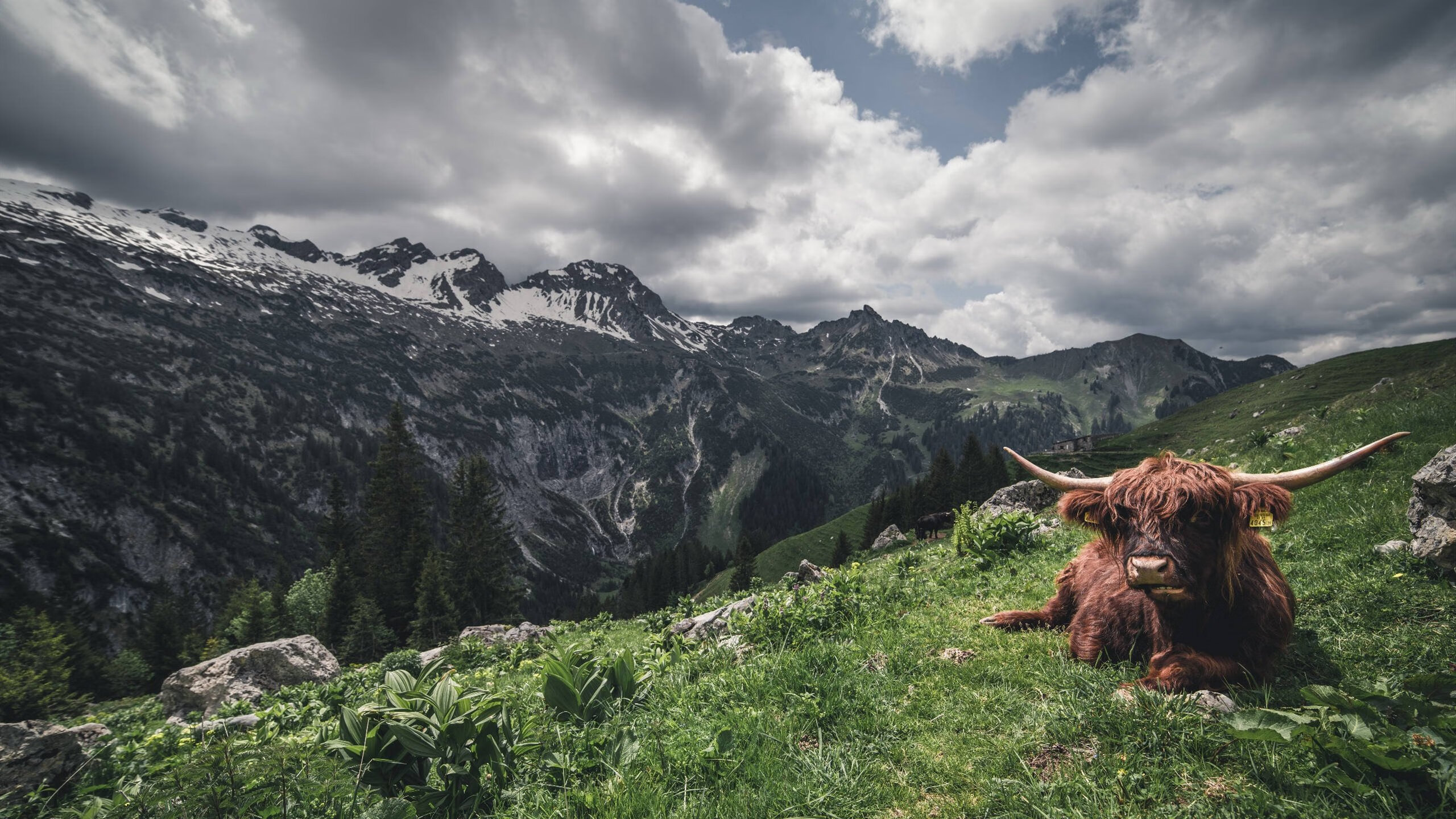 出发与转身技术动作数据深度研究,出发的动作