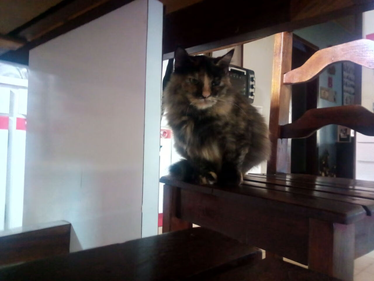 AYX SPORTS-节奏加快是否有助于激发替补球员状态，节奏型球员