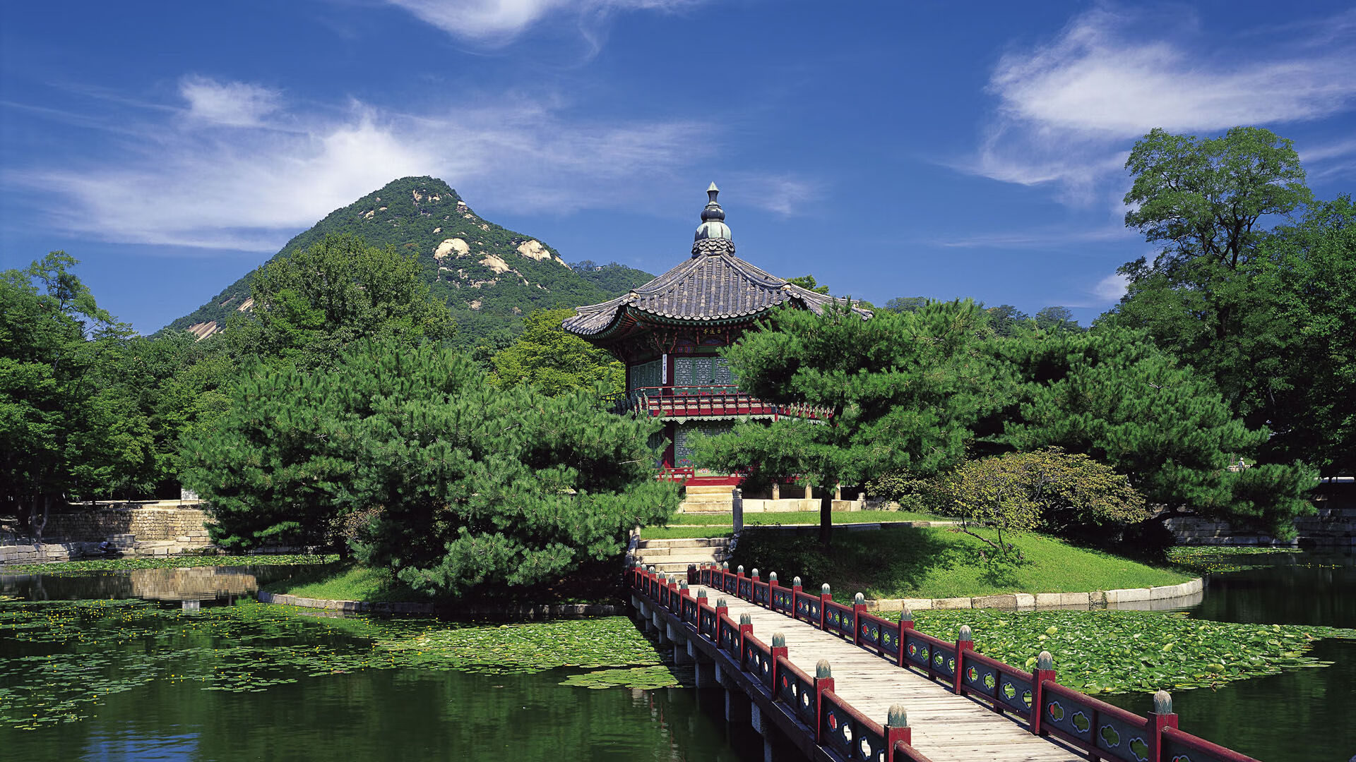 足球媒体报道偏娱乐化影响公众认知，十大足球媒体