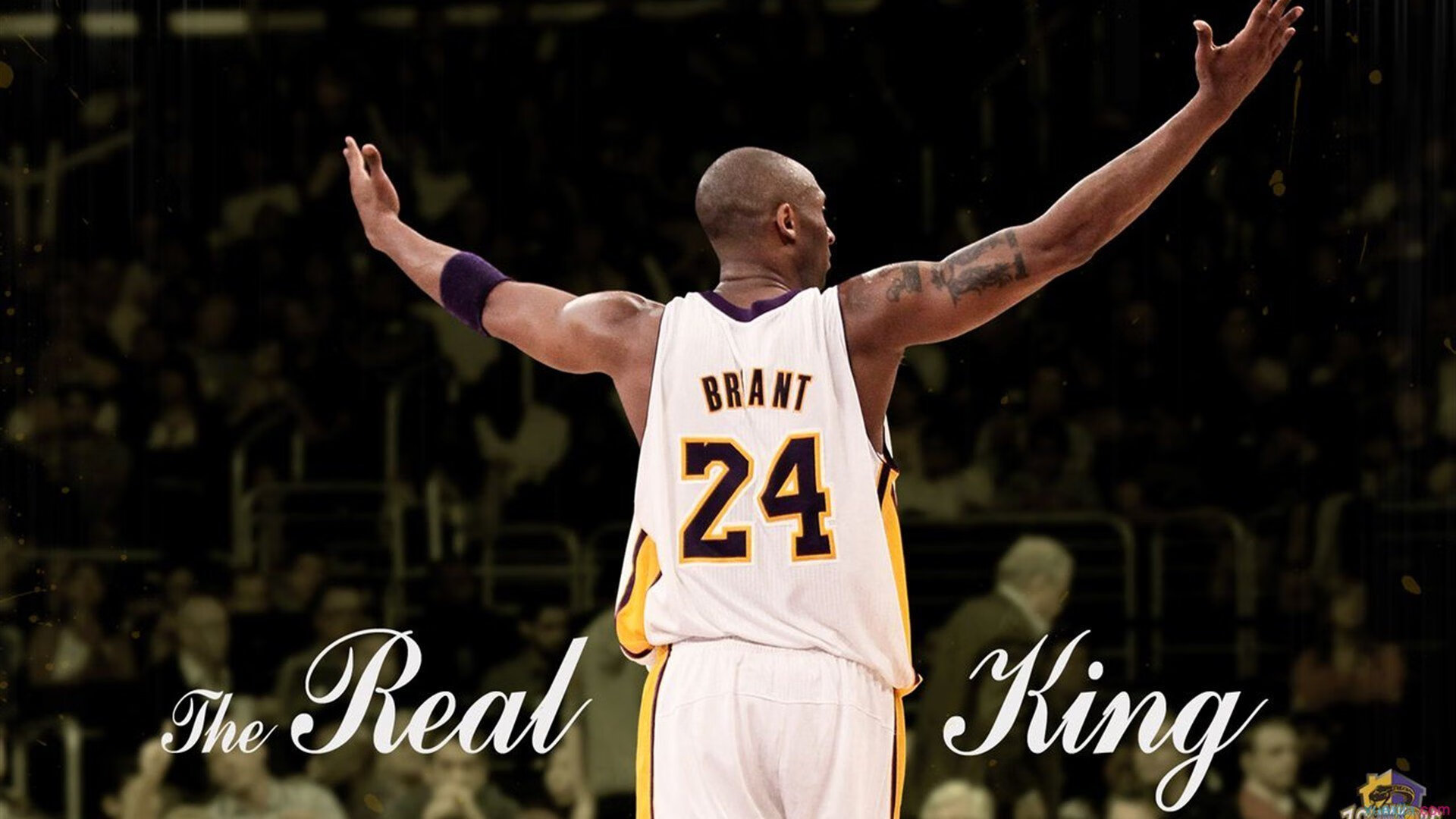 爱游戏中国官方网站平台-胡贝特·科斯以实力回应所有质疑，胡贝尔特