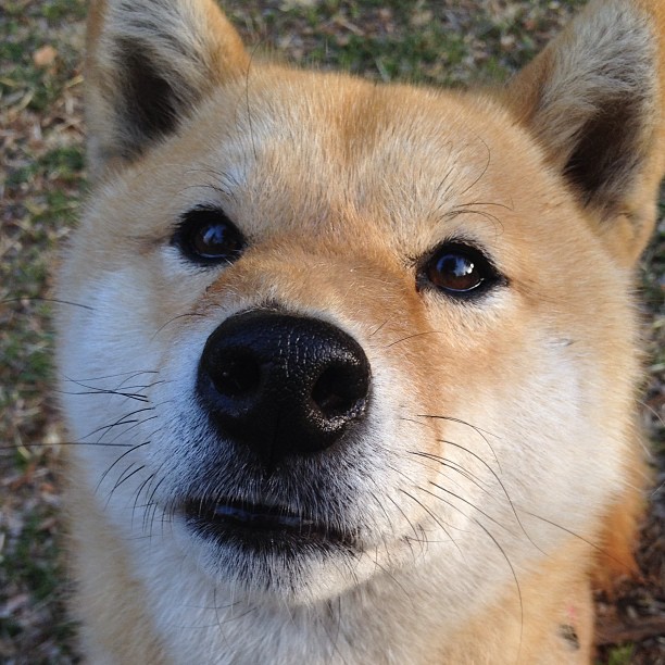 英超冲刺剧：胜负悬念在最后一刻！，英超精彩