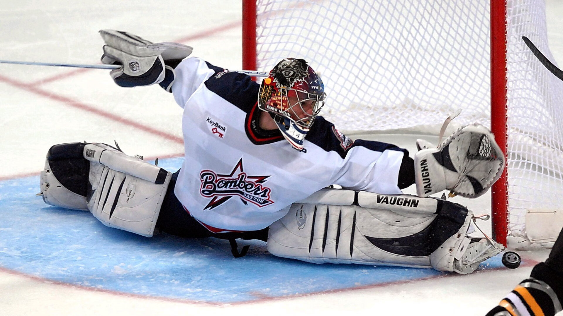 球迷热议：联盟最具潜力的“新星兵团”，新星战队官网